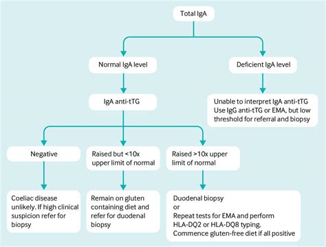 coeliac screen interpretation